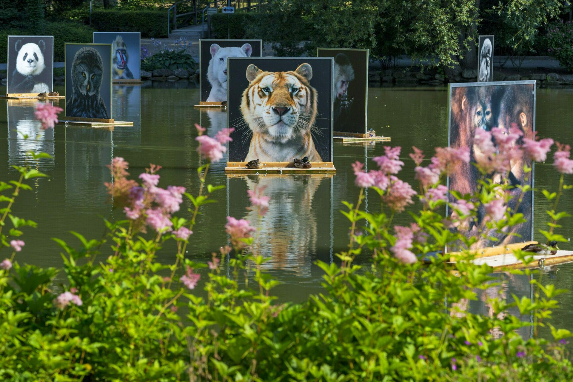 Festival La Gacilly Baden bei Wien