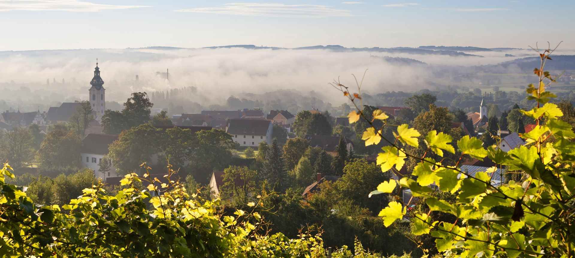 Hartberg - Blick über Stadt