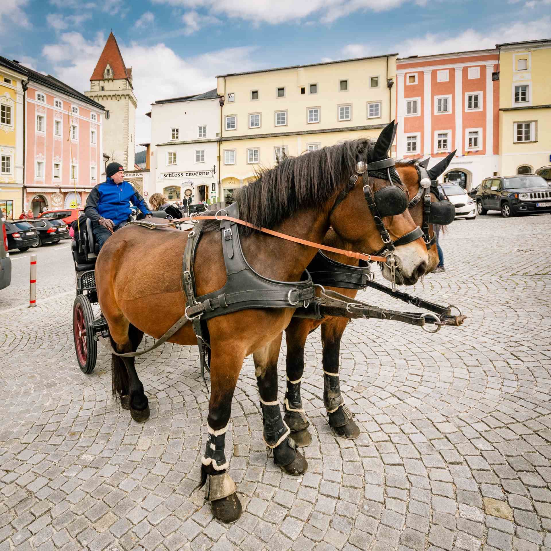 Pferdekutsche in Freistadt